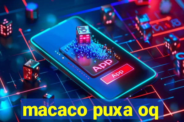 macaco puxa oq